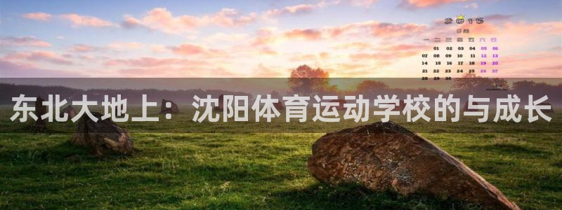 MK体育官方正版app代理:东北大地上:沈阳体育运动学校的与