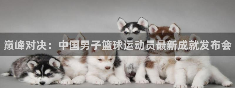 MK体育官方正版app娱乐代理怎么样:巅峰对决:中国男子篮球