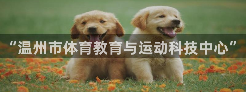MK体育官方正版app集团:“温州市体育教育与运动科技中心”