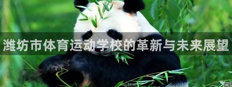 MK体育官方正版app神州:潍坊市体育运动学校的革新与未来展