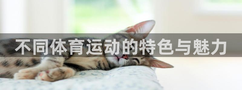 MK体育官网下载平台是正规平台吗安全吗:不同体育运动的特色与