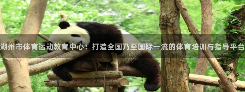 MK体育官方正版app新能源:湖州市体育运动教育中心:打造全